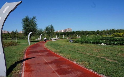昆明官渡區濕地公園透水磚安裝實